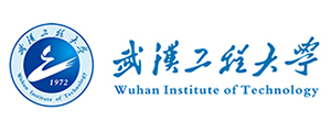 Wuhan Institute of Technology